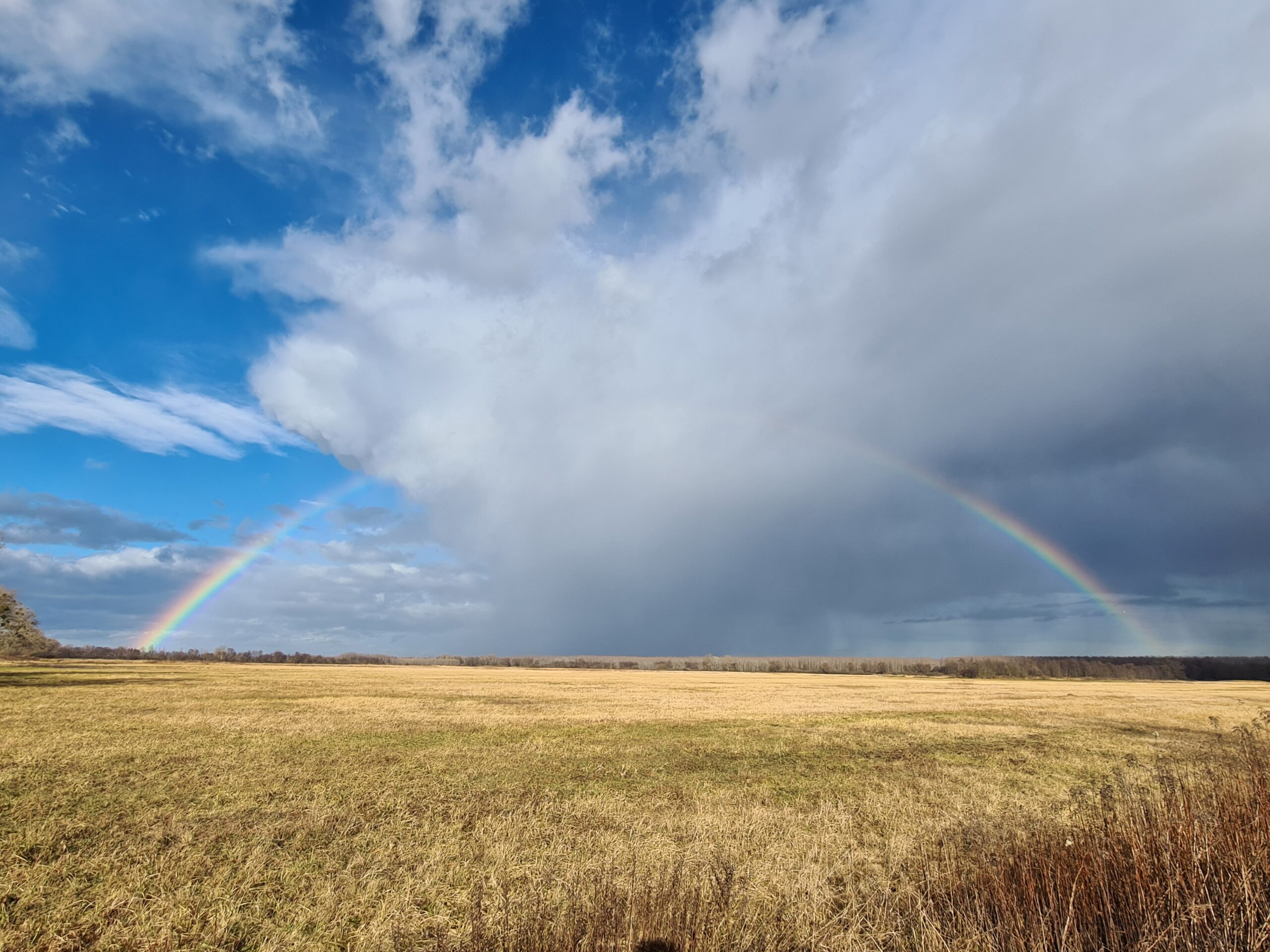 Landschaft
