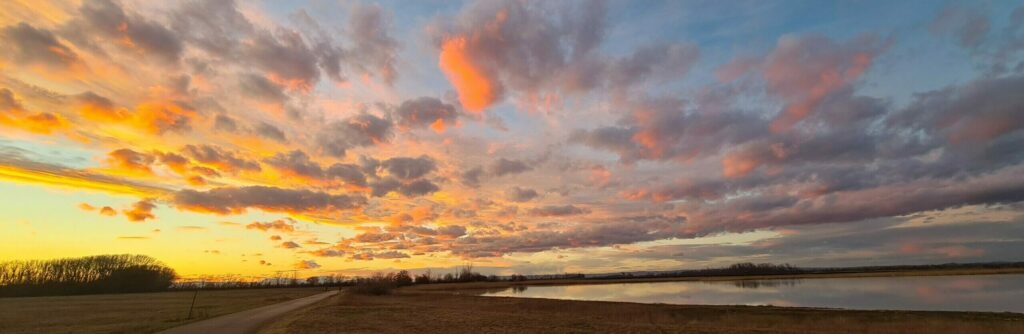 Landschaft